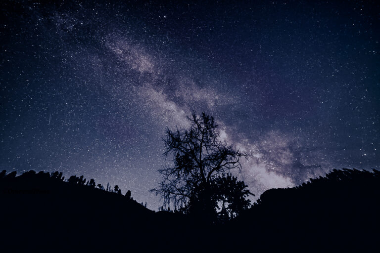 How to Avoid Light Pollution: The Definitive Dark Sky Guide